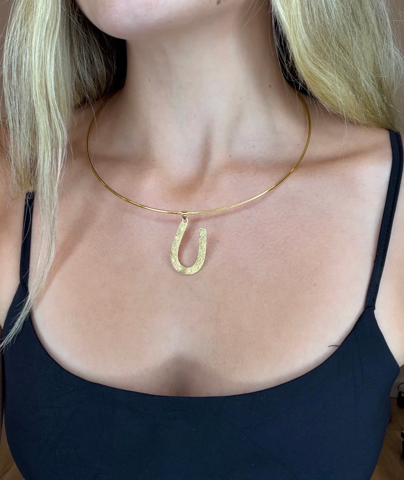 Pendant Horseshoe Choker